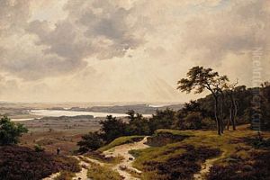 View from Himmelbjerget. by Axel Schovelin