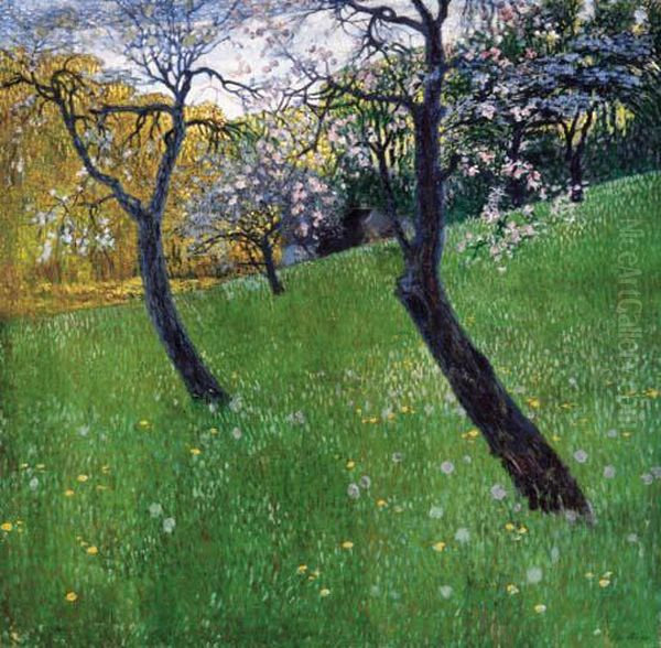 An orchard in springtime - view 1