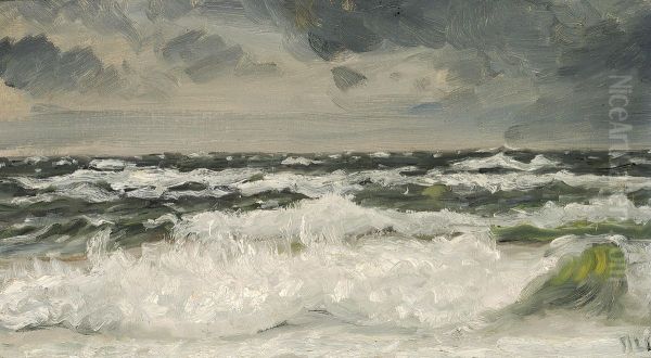 At Skagen beach. - view 1