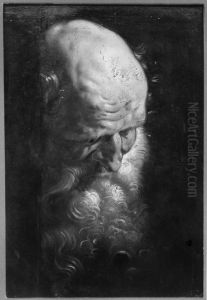 Study of the apostle Simon the Zelotes by (studio of) Rubens, Peter Paul