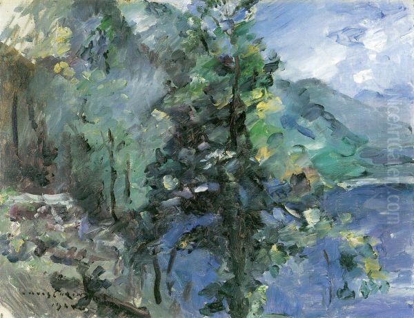 Walchensee mit Abhang des Jochberges - view 1