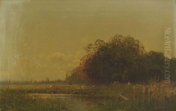 Shore landscape with a flock of sheep - view 1