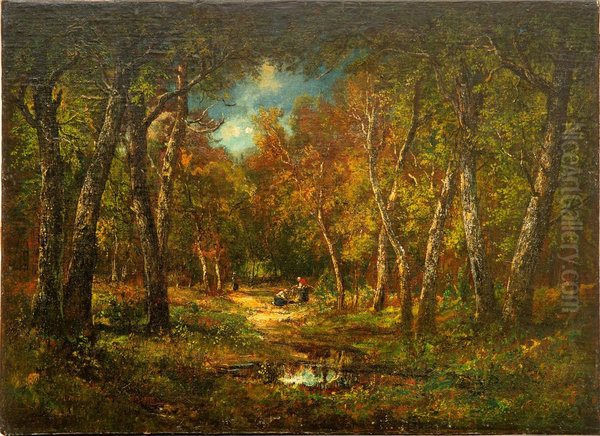 Forest of Fontainebleau - view 1