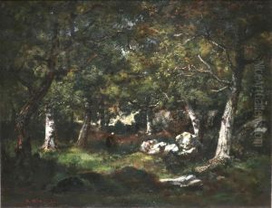 Forest Glade