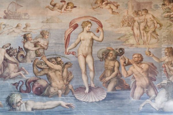The Birth of Venus - view 1
