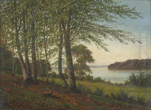 A Danish beech forest near an inlet. by Eiler Rasmussen Eilersen