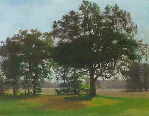 View from Dyrehaven at Copenhagen. by Eiler Rasmussen Eilersen