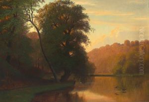 Forest lake with low-flying swallows.