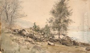 Torskeskjaer, Budokken ved Skogsfjord Torskeskjaer, Budokken ved Skogsfjord