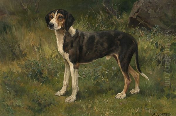 Hound - view 1