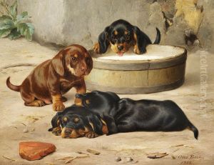 Dachshund puppies. by Otto Bache
