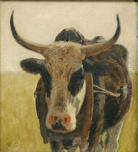 A black and white ox.