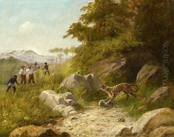 Tiger hunt - view 1