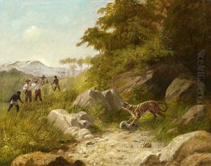 Tiger hunt