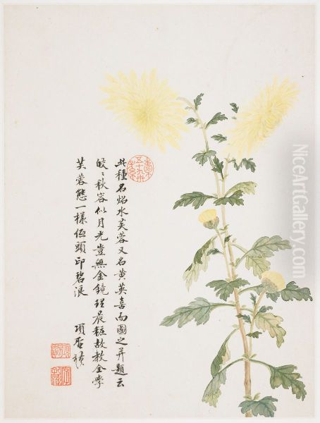 Hibiscus from a Flower Album of Ten Leaves - view 1
