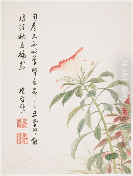 Cock's-comb from a Flower Album of Ten Leaves - view 1