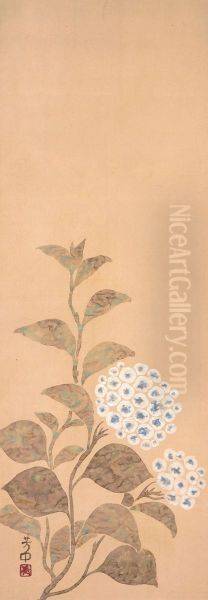 Hydrangea - view 1