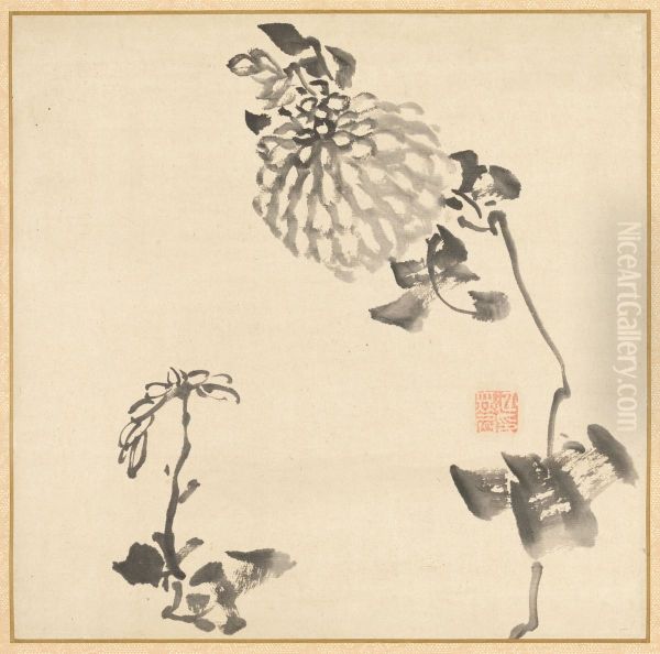 Chrysanthemums - view 1