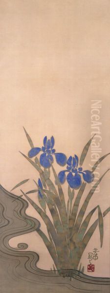 Blue Iris - view 1