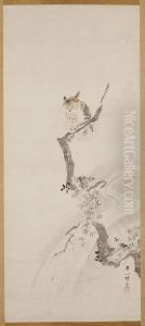 An Owl Perched in a Tree