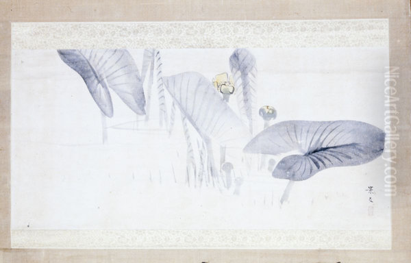 Taro Plants - view 1