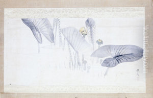 Taro Plants