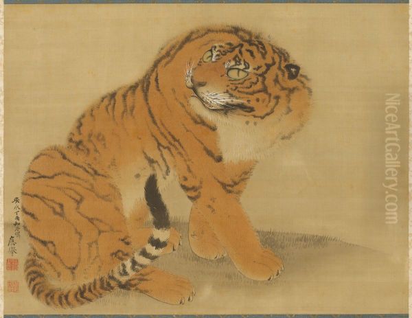 Sitting Tiger - view 1