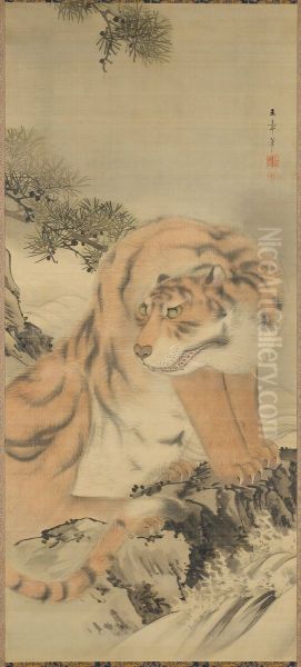 Tiger by a Stream - view 1