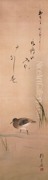 Waterbird and Grass - view 1