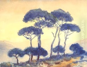 A Group of Pines in Bekfaya. A Group of Pines in Bekfaya.