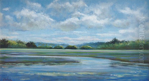 Dublin Marsh - view 1
