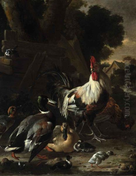 Ducks, hens and other fowl in a yard - view 1