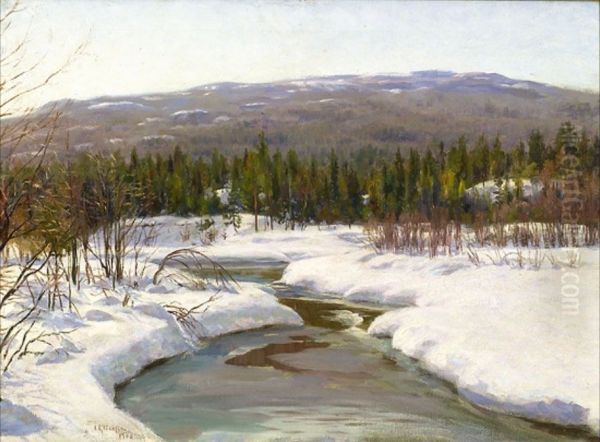 Elv i vinterlandskap - view 1