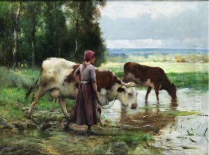 Young woman soaring cattles Young woman soaring cattles
