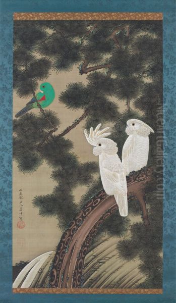 Cockatoos in an old pine - view 1