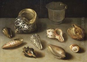 Nine exotic shells from the Far East