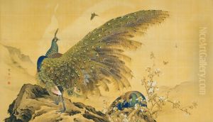 Peacocks by Araki Kanpo