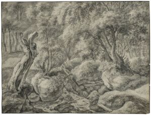 Skog med en back rinnande mellan stora flyttblock by Antonie Waterloo