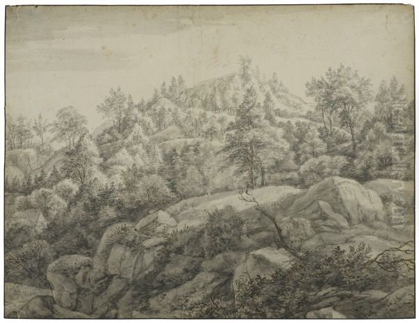Bergssluttning med klippor - view 1