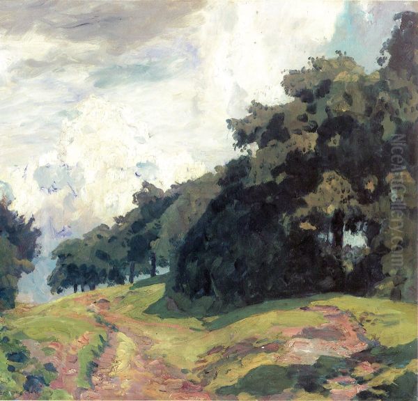 Upper Hessian Landscape - view 1