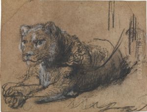 Young Lion Resting by Rembrandt