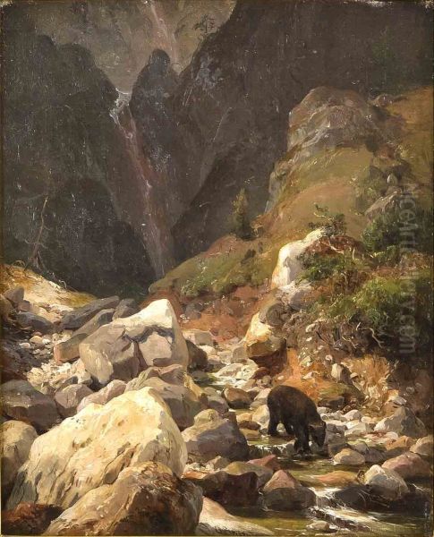 Rocky landscape - view 1