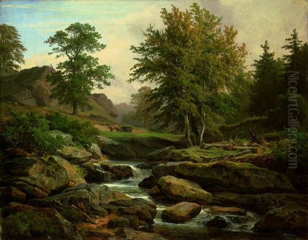 Landscape near Harzburg - view 1