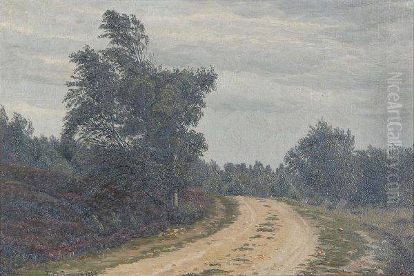A road near Hammershus on Bornholm. - view 1