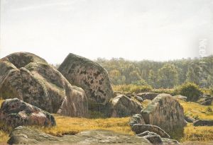 Landscape with rocks. Landscape with rocks.