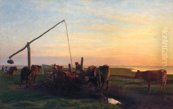 Cattle watering at sunrise. - view 1