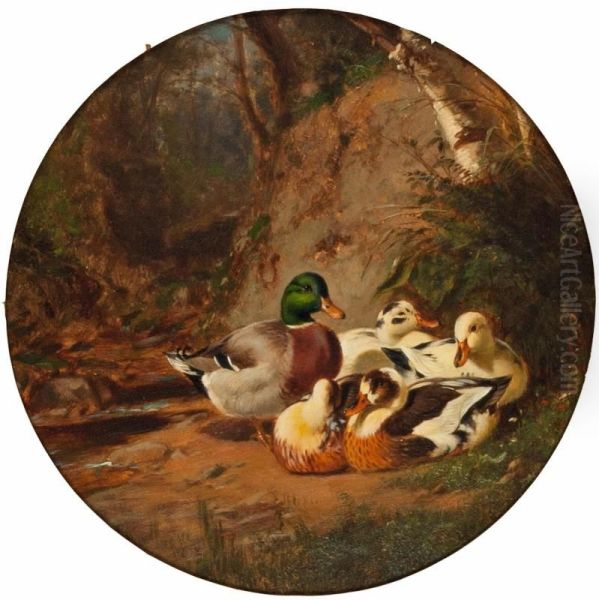 Ducks in a Wood - view 1