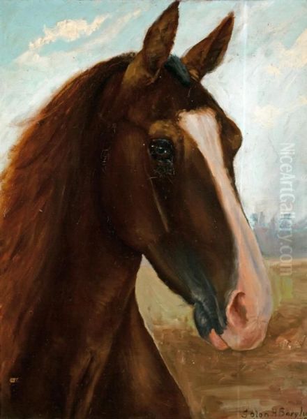 The Horse's Head - view 1