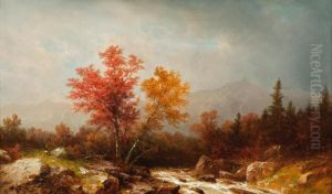 In the White Mountains