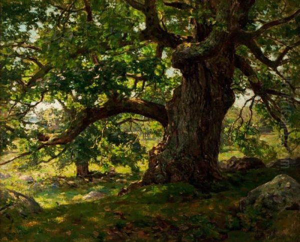 The Oak - view 1